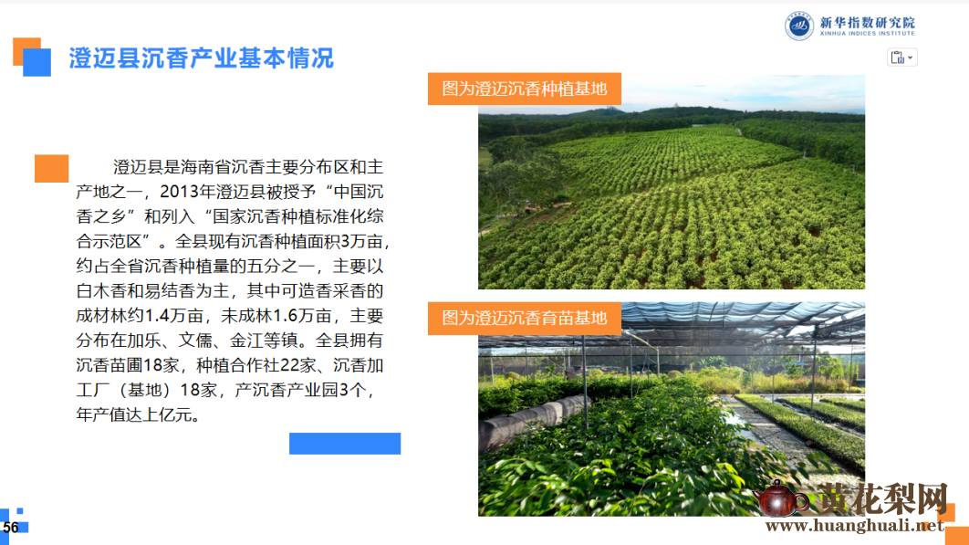 中国沉香价格指数运行报告（2025年度）发布